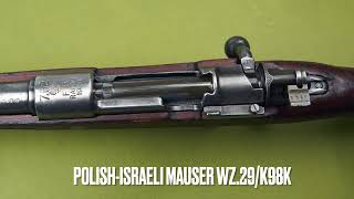 Shooting: Polish-Israeli Mauser wz.29/K98k