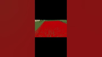 Minecraft Invisible Maze Preview