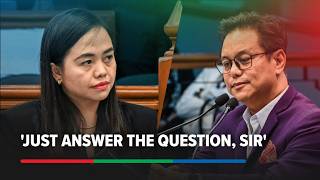 Ferrer pinigilan ang paliwanag ni Cabrera kung may ginamit itong dokumento mula kay VP Sara, Mans