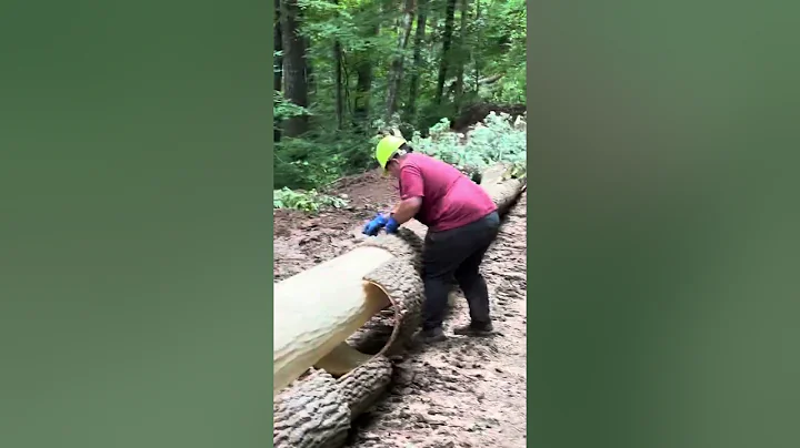 Making Amish poplar bark !!