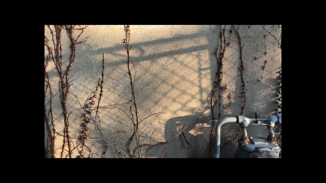 Jason Treuting - 1927 and Build Down from Go Placidly with Haste