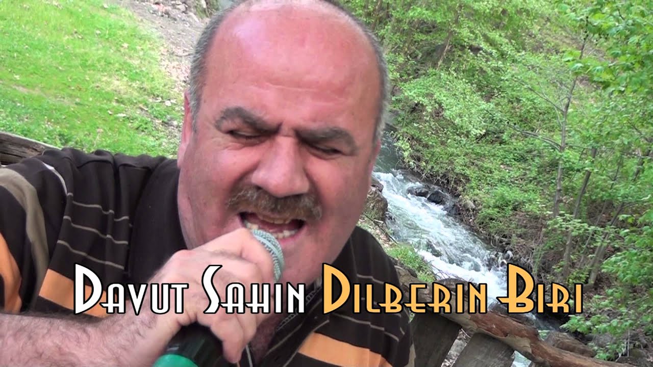 Davut sahin dilberin Biri