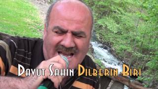 Davut sahin dilberin Biri Resimi