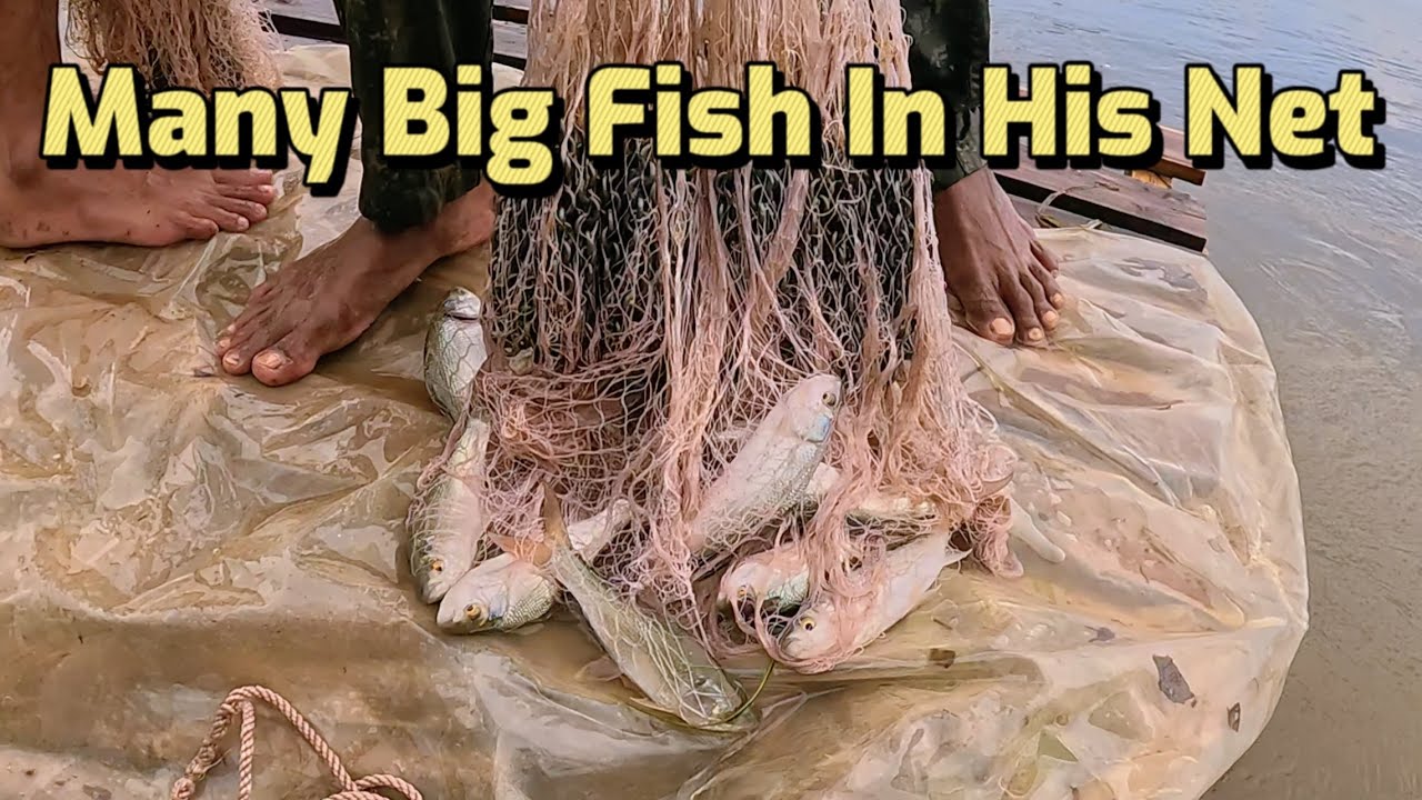 EP68 | Cast net fishing, he luckily catches many big fish in his cast ...