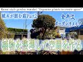植木が囲む庭＃2「植物を整理して空間を作る」植木の撤去・植物を減らすだけでお庭が広く【金井流ガーデンリメイク】