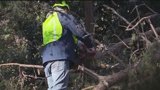 Power crews working on sawing down long trees collapsed due to ice in north Georgia