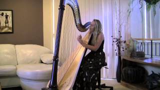 Video thumbnail of "Wrong Turn - Jack Johnson Cover (harp and voice)"