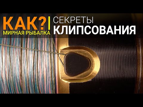 Видео: Как да възстановя касова бележка