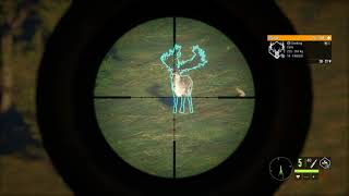 theHunter  Call of the Wild | Fabled Great One Red Deer screenshot 5