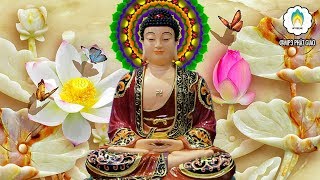 Ngày 16 Đến 30 Nhất Định Phải Nghe Hết Kinh Này - Làm Theo Lời Phật Dạy Hết Phiền Não Khổ Đau