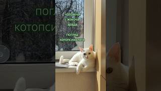 хвилинка психології