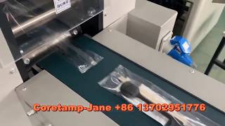 Disposable tableware flow pack machine from Foshan Coretamp