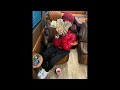 [FREE] Skrilla X 1900 Rugrat Sample Type Beat  - "Better Off Alone"