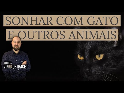 Vídeo: O que significa quando um gato ri?