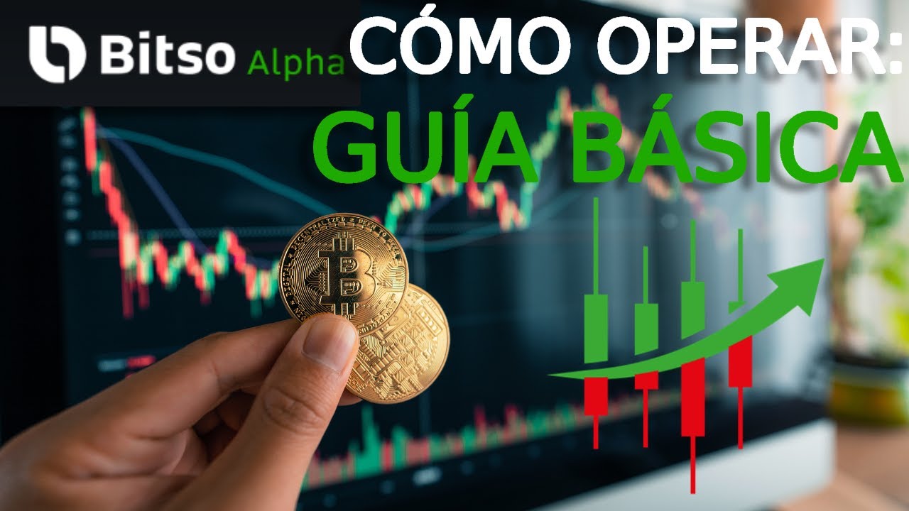 Cómo Usar Bitso Alpha Paso a Paso para Principiantes