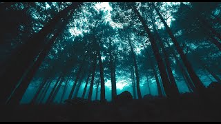 Cinematic Chill, Epic Soundtrack, Instrumental [No Copyright Sound] [ FREE USE MUSIC ] - Luminance