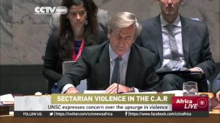 UN expresses concern over the upsurge in violence in the C.A.R. screenshot 5
