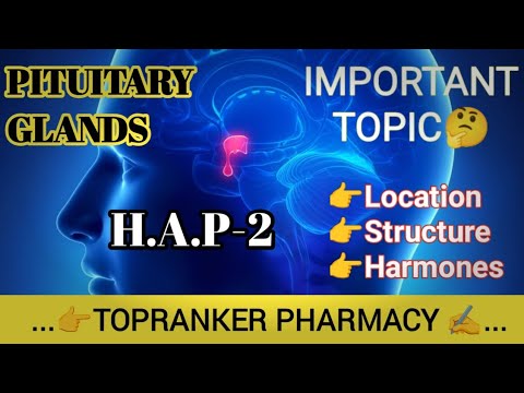 Pituitary gland | one shot | Anatomy and Physiology In Hindi | Hormone ...