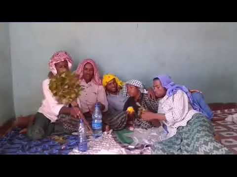 ቪዲዮ: በተመለሰ የማርሽ ባቡር ውስጥ?