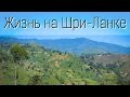 5. Чем питаться и где покупать продукты на Шри-Ланке. Жизнь и путешествие по Цейлону.