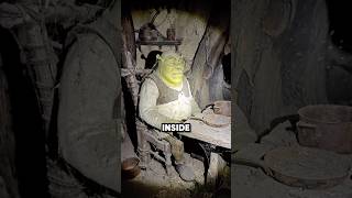 He Found Frozen Shrek Characters