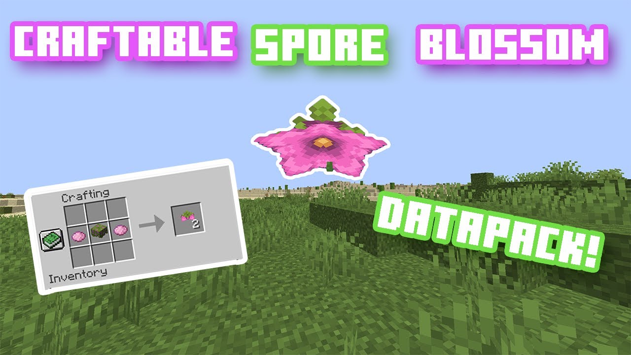 How to Get The Spore Blossom in Survival like HermitCraft! [Craftable