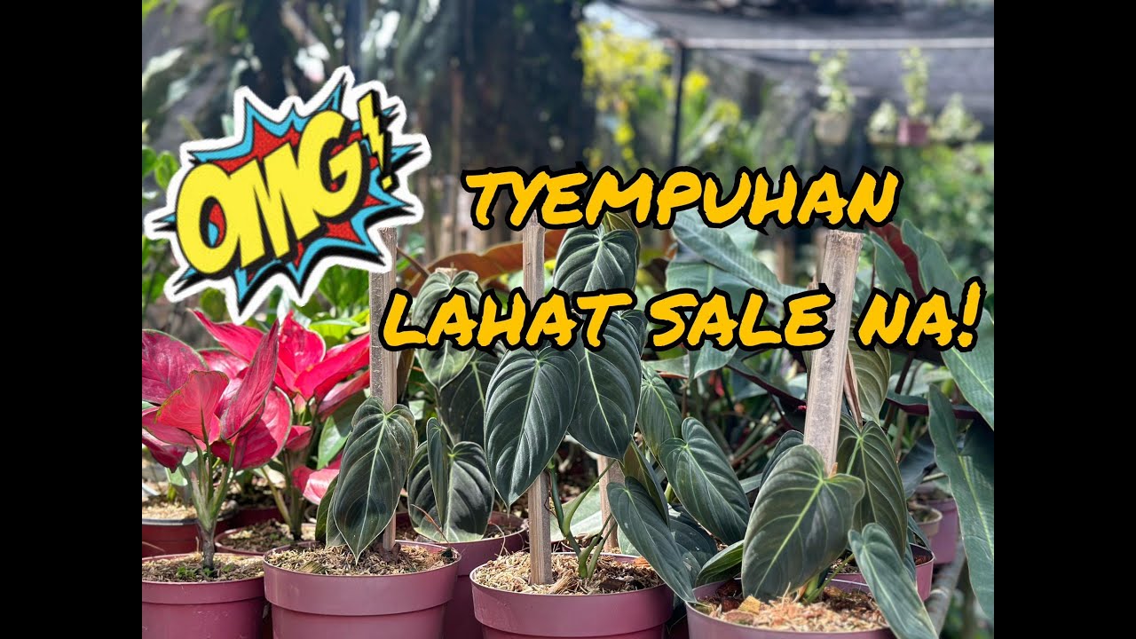 TYEMPUHAN SINALE NA LAHAT!