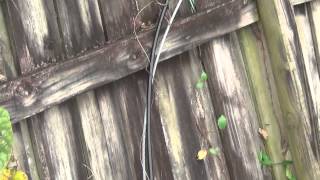 Comcast Line Problem