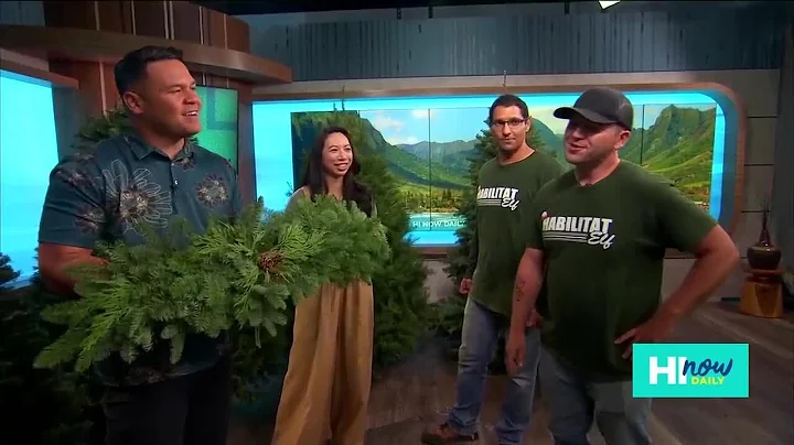 Habilitat’s Annual Christmas Tree Project