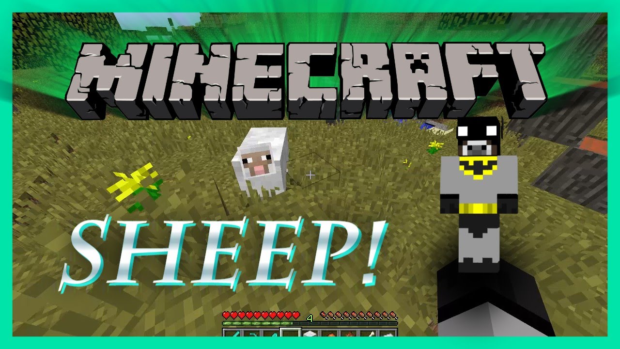 MINECRAFT SHEEP Minecraft Funny Moments YouTube MINECRAFT SHEEP Minecraft Funny Moments YouTube