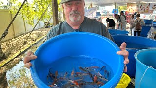 CENTRAL FLORIDA KOI & GOLDFISH SHOW 2025 AT THE AVANTI PALMS RESORT WHAT TYPE OF FISH WITH THEY GET?
