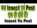 What is the Insect and Pest। Difference Between Insecticide and Pesticides।