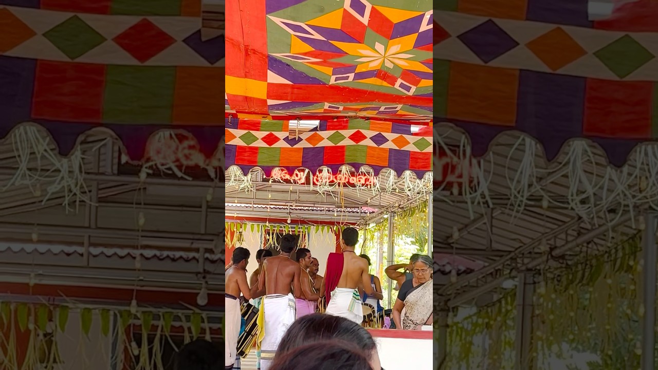 For all the Chendamelam lovers🪘🥁