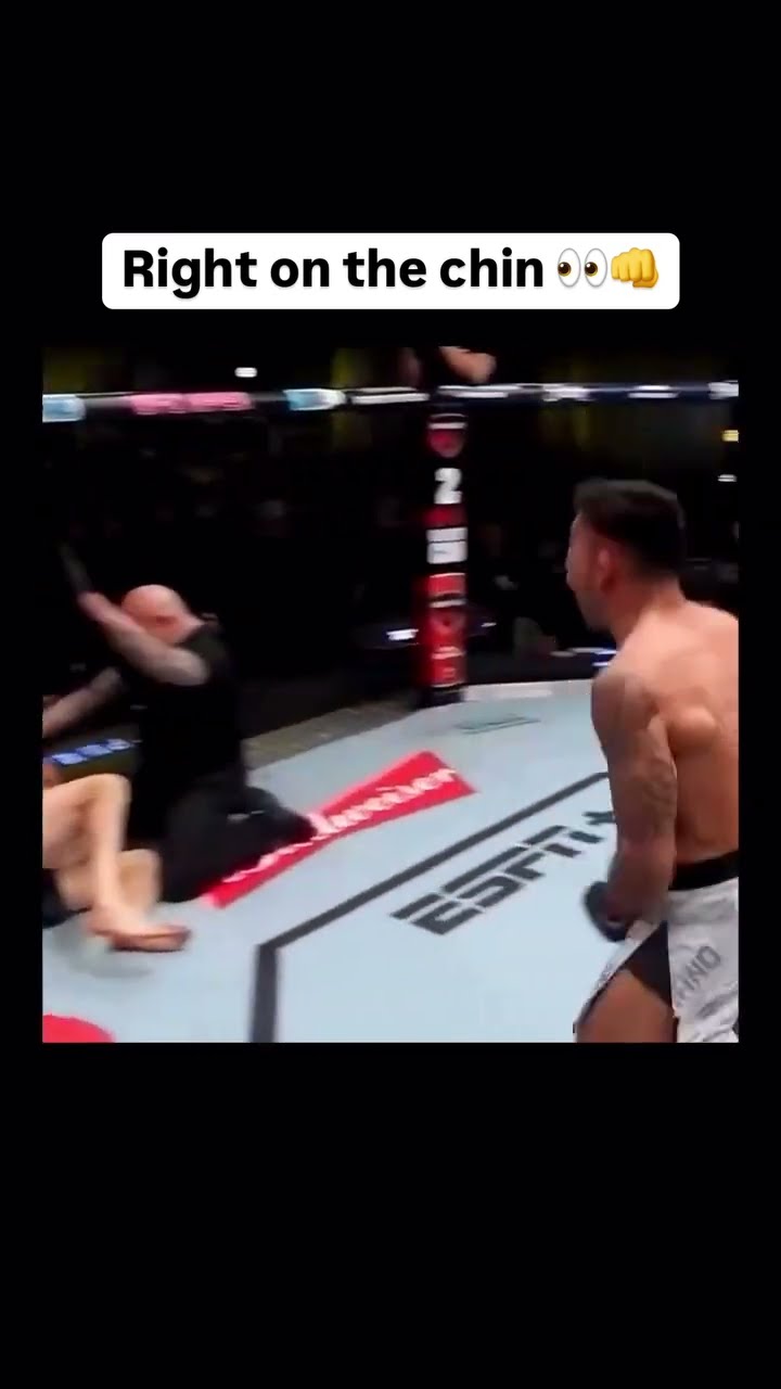 Knocked Him ? Via - @ufc #ufc #knockout #combatsports