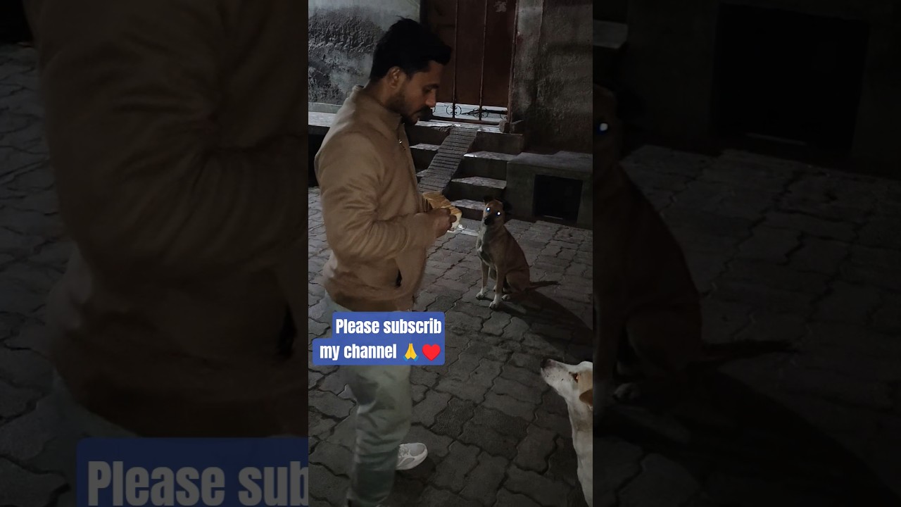 animal lover 💘😍 