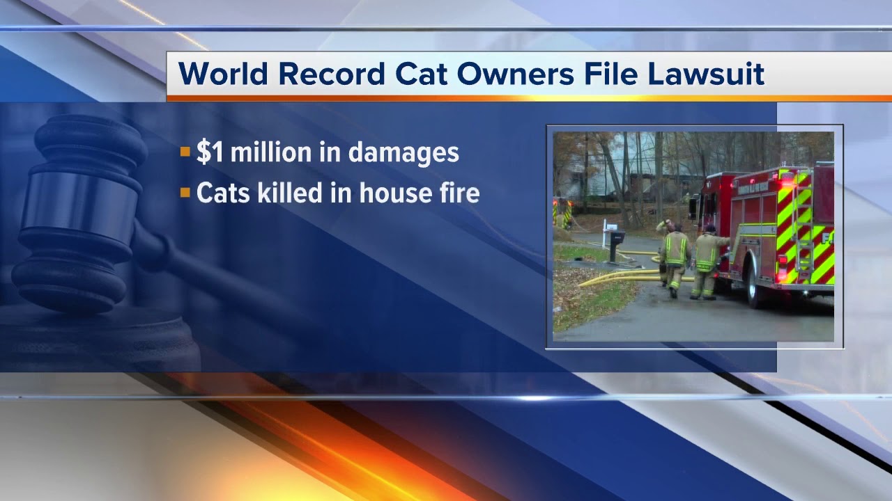 channel awesome Farmington Hills couple files lawsuit after record-holding cats killed in fire