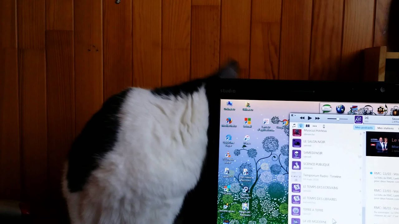 Néko aime mon PC