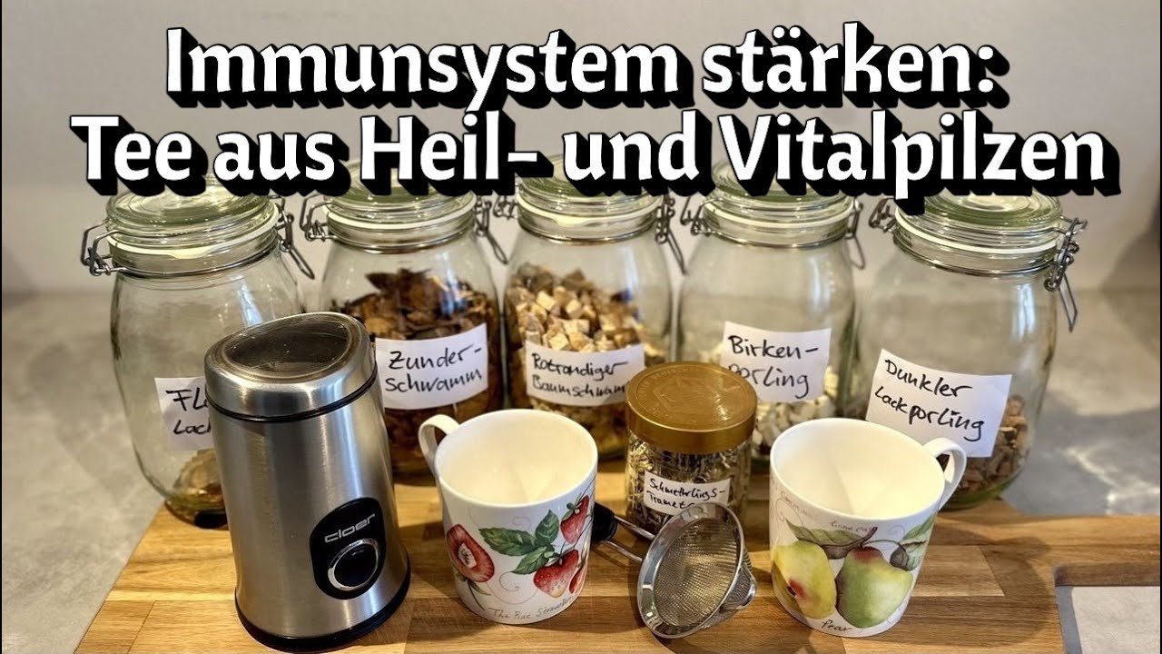 Immunsystem stärken: „Tommys toller Turbo-Tee“ vereint 6 verschiedene Heil- und Vitalpilze