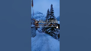 سورة فاطر  قاری: عبدالباسط عبدالصمد Surah Faatir  | Qari: Abdul Basit Abdul Samad