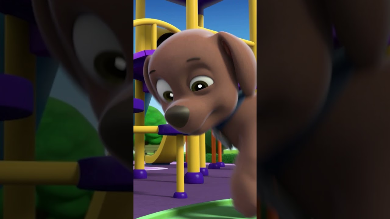 Zuma and Marshall funny mistakes racing to the tower! 