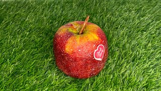 Celebrity Realistic Cake Of An Apple | Hyperrealistic Cake Of. An Apple. Net Worth