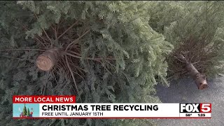 Springs Preserve Christmas tree recycling