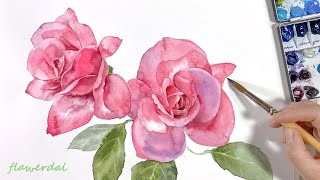 [] 분홍 장미 꽃 수채화  ,