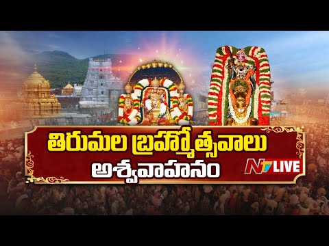 Srivari Varshika Brahmotsavam 2025 LIVE : శ్రీవారి బ్రహ్మోత్సవాలు 2025 | అశ్వవాహనం | NTV Telugu - NTVTELUGU