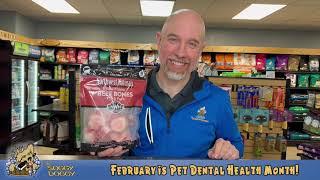 February is Pet Dental Health Month!