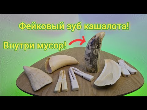 Настоящий или нет? Разрезаю зуб кашалота и проверяю!