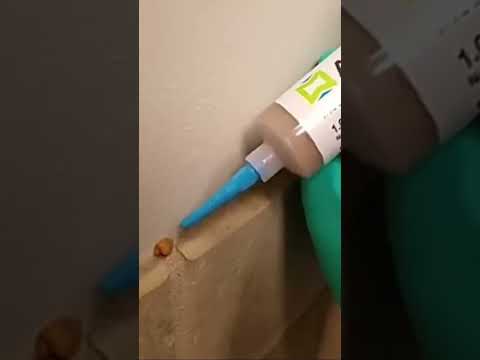 طريقة استخدام جل الحشرات  اكسبلور