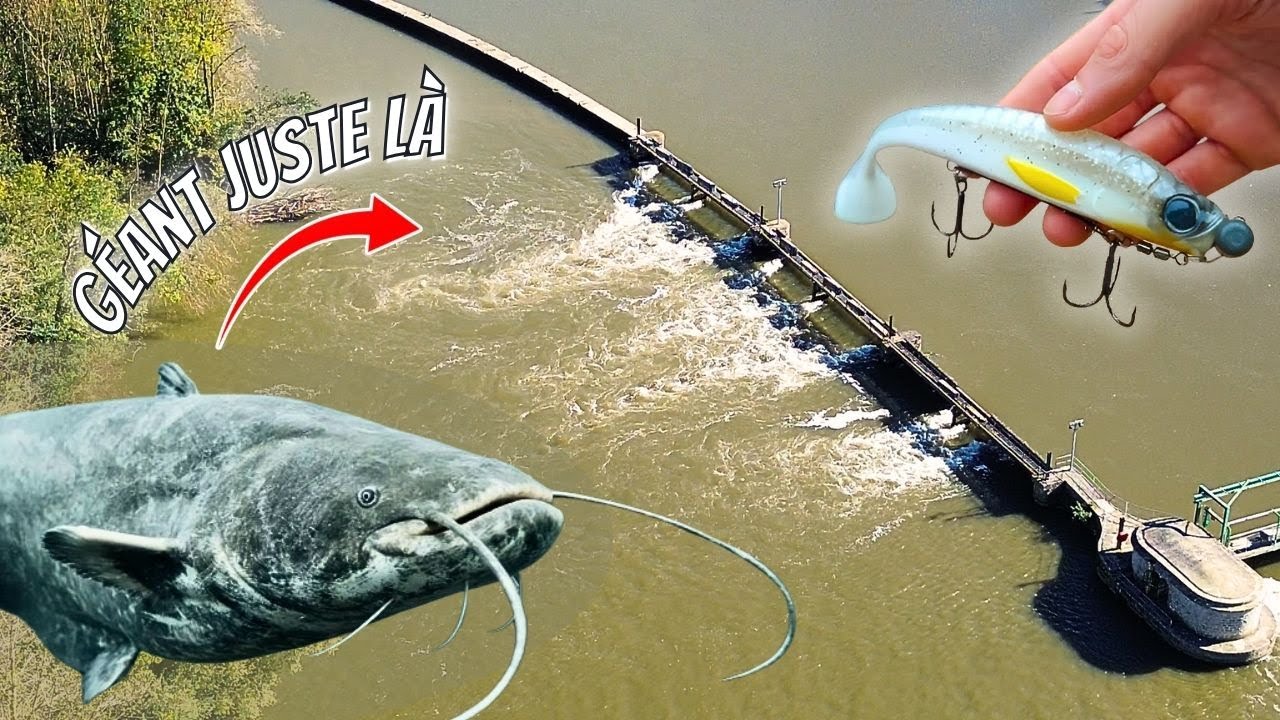 Je TRAQUE le SILURE MONSTRE en plein courant pendant la Crue !! (Pêche au leurre)