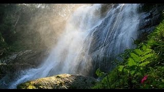 Udzungwa Mountains National Park - video by Tanzania National Park