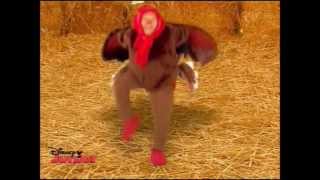 Wiggle E Aprenda Brasil  Um Peru Na Palha